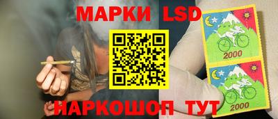 спиды Дубна