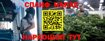 спиды Дубна